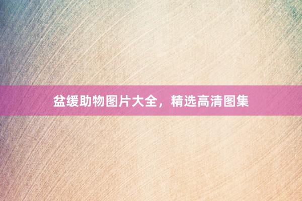 盆缓助物图片大全，精选高清图集